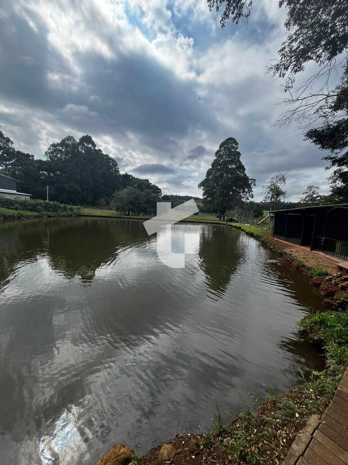 BLISSIMA CHCARA VENDA A MENOS DE 1 KM DE PATO BRANCO - PR
