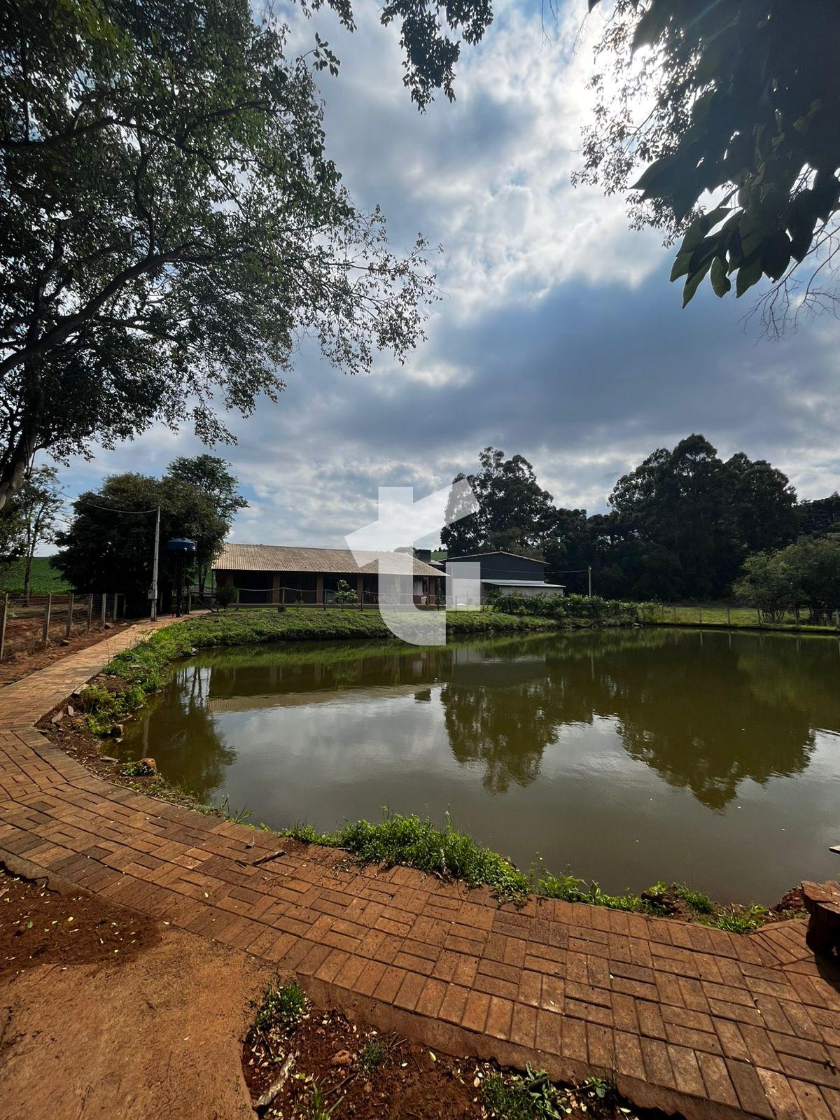 BLISSIMA CHCARA VENDA A MENOS DE 1 KM DE PATO BRANCO - PR