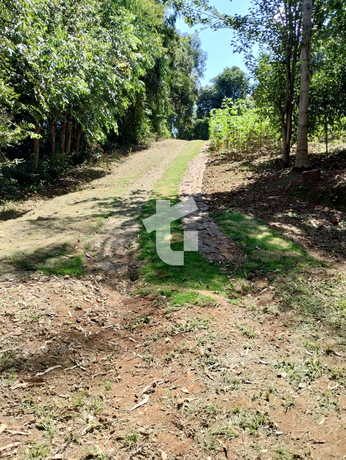 ÁREA RURAL À VENDA  À 10KM DO CENTRO DE PATO BRANCO - PR.