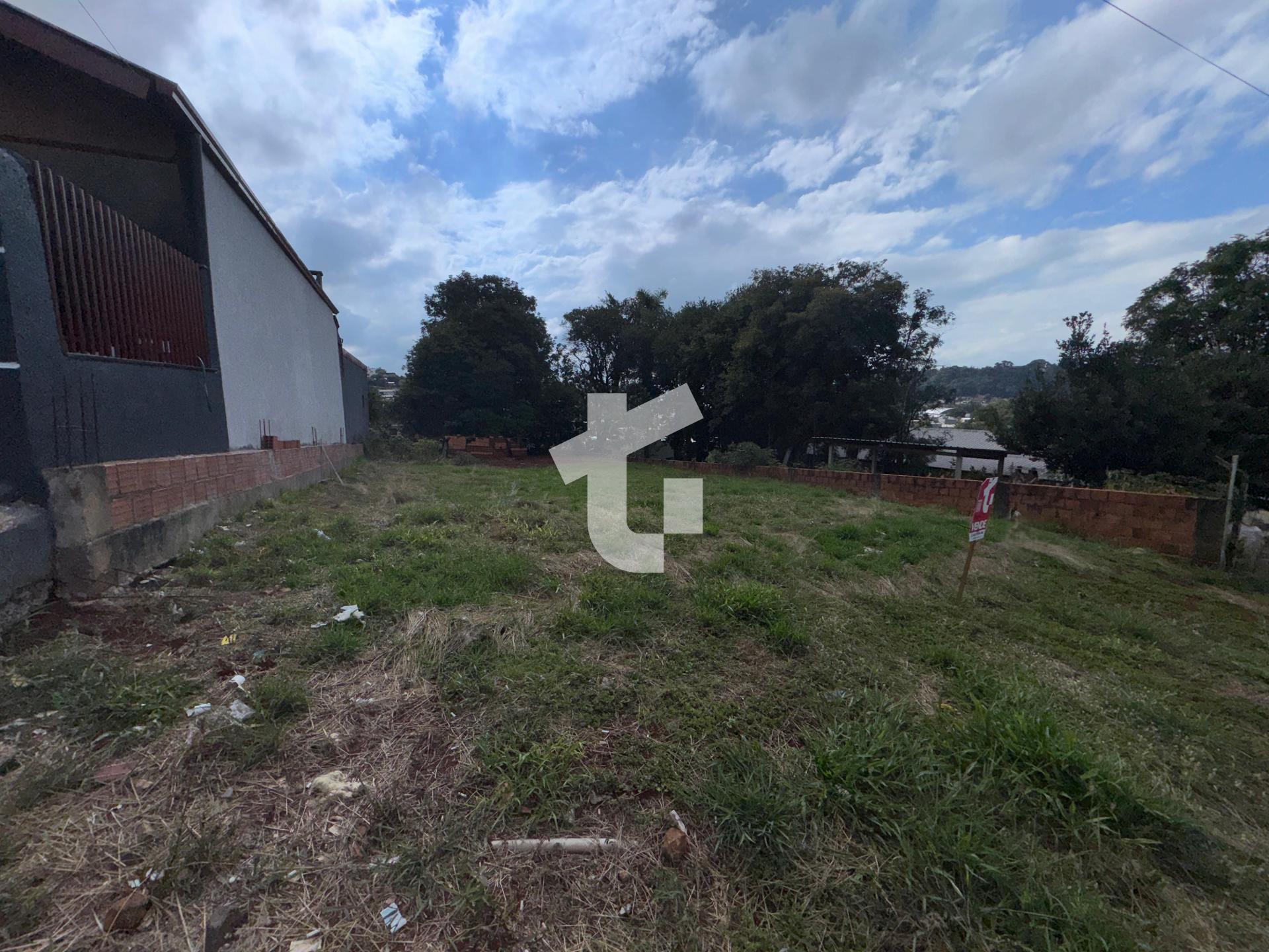 EXCELENTE TERRENO, COM 406M  - SÃO VICENTE, PATO BRANCO-PR