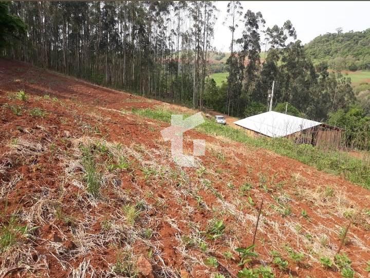 CHCARA VENDA COM 3,5 HECTARES, NA ZONA RURAL DE PATO BRANCO - PR