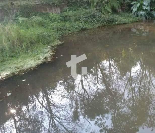 CHCARA VENDA COM 3,5 HECTARES, NA ZONA RURAL DE PATO BRANCO - PR