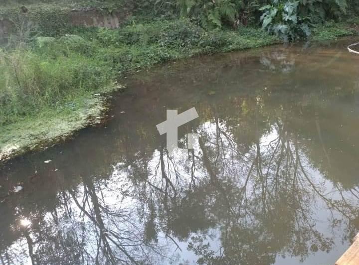CHCARA VENDA COM 3,5 HECTARES, NA ZONA RURAL DE PATO BRANCO - PR