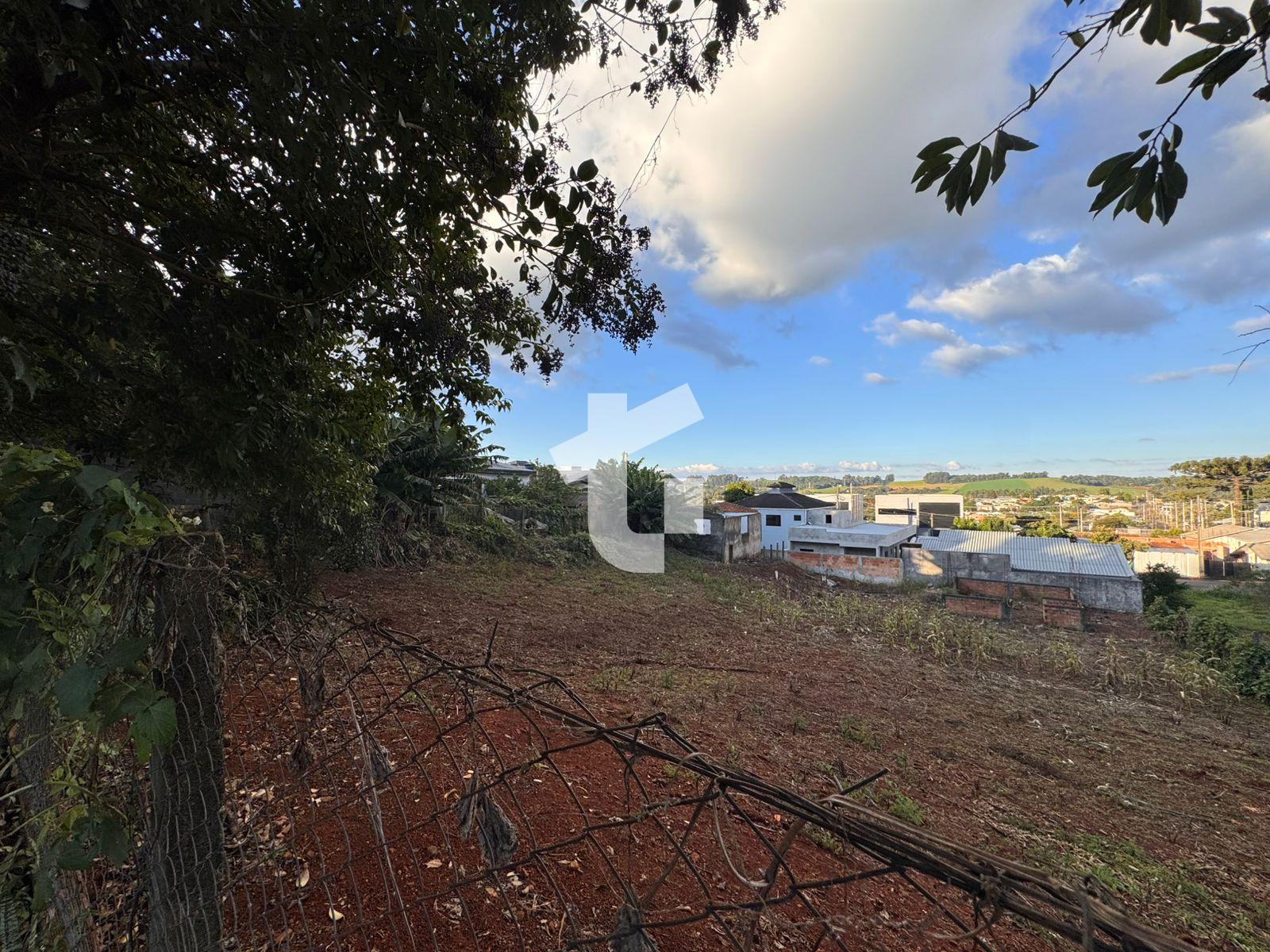ÓTIMO TERRENO NO CRISTO REI, COM 591M², COM TESTADA DE 13,17M²...