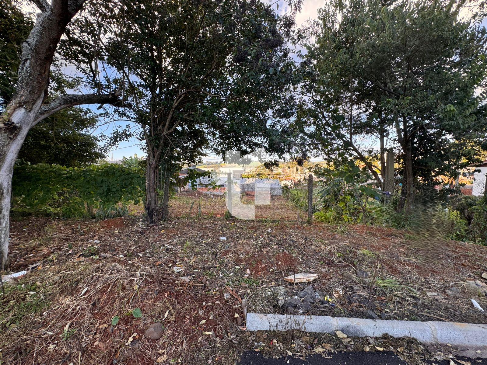 ÓTIMO TERRENO NO CRISTO REI, COM 591M², COM TESTADA DE 13,17M²...