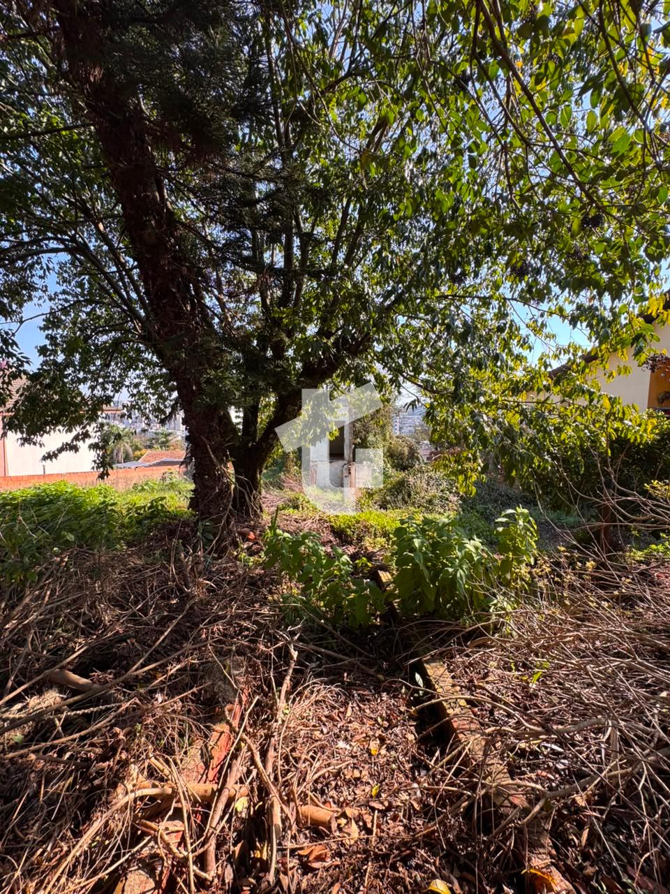 EXCELENTE TERRENO VENDA , COM 1134M, NO BAIRRO BRASLIA - PATO BRANCO/PR.