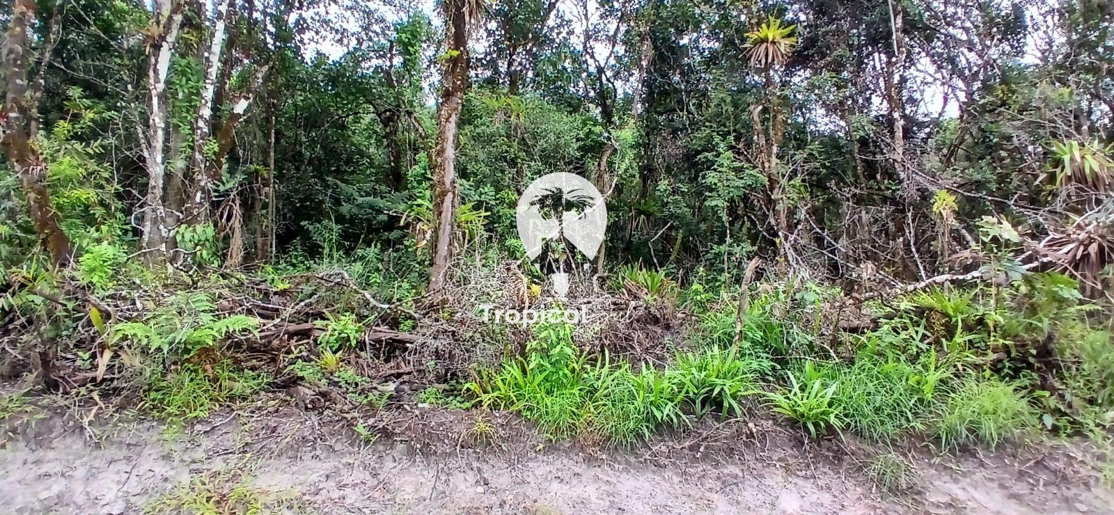 Terreno, 360 m² - Foto 5