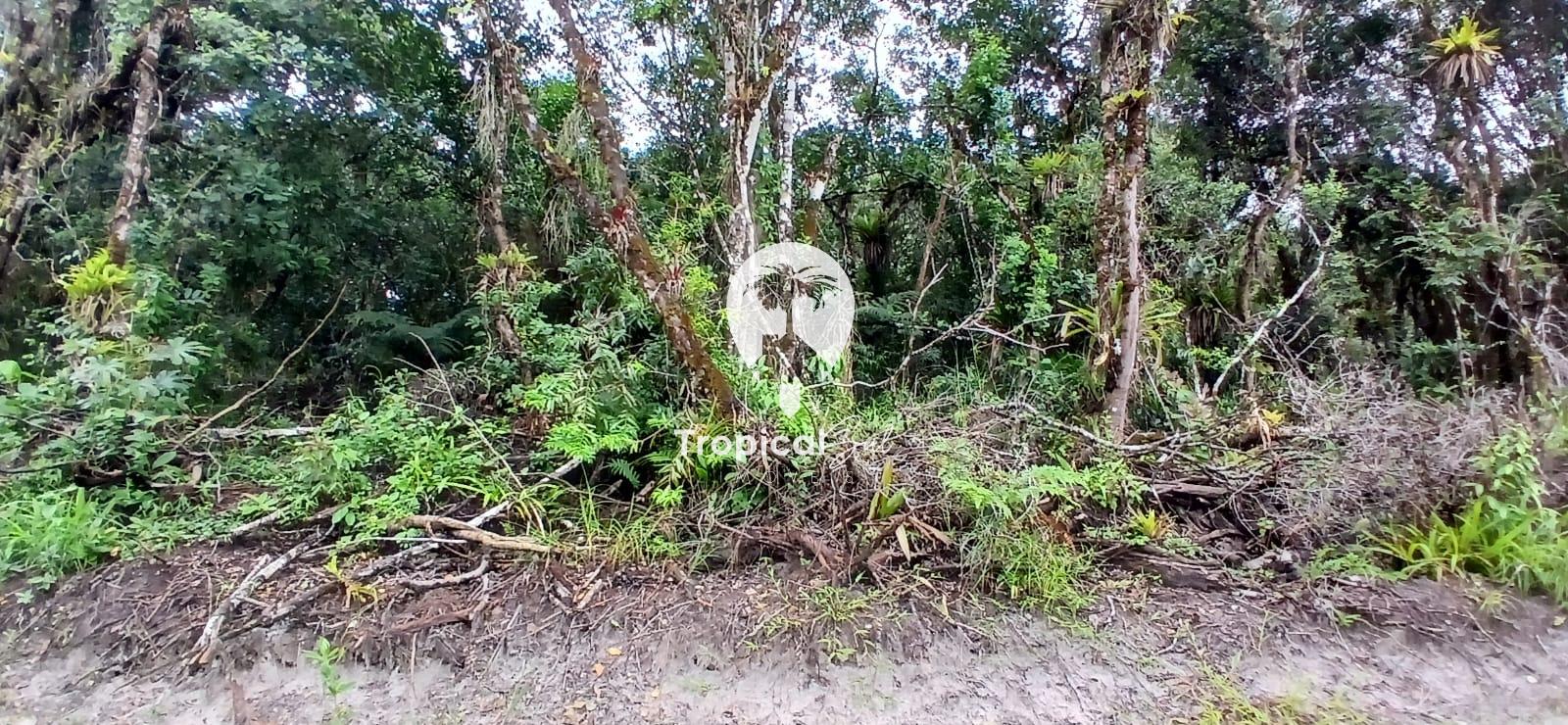 Terreno, 360 m² - Foto 14
