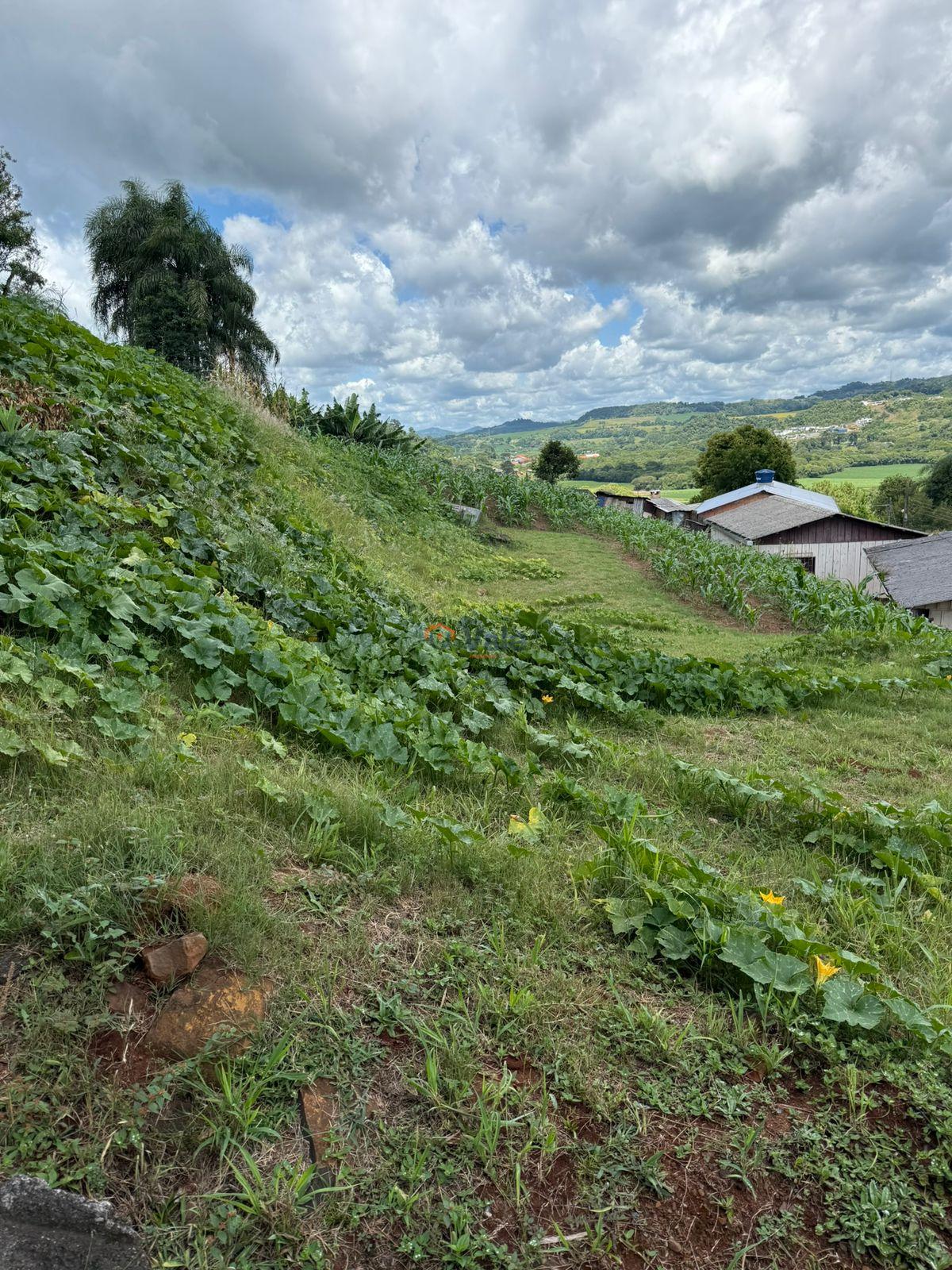 Imobili�ria Luanza Vale em Francisco Beltr�o PR