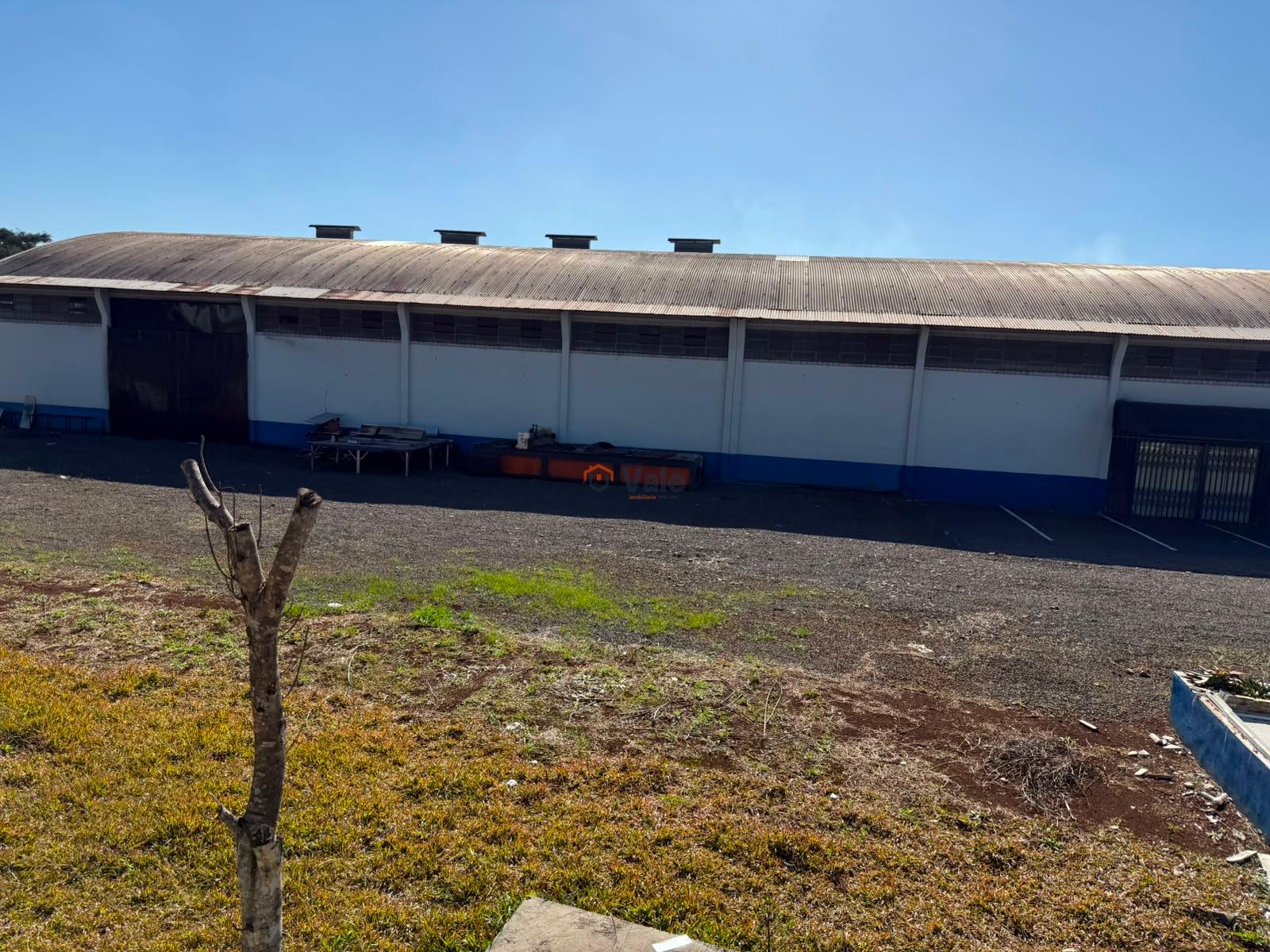 Imobili�ria Luanza Vale em Francisco Beltr�o PR