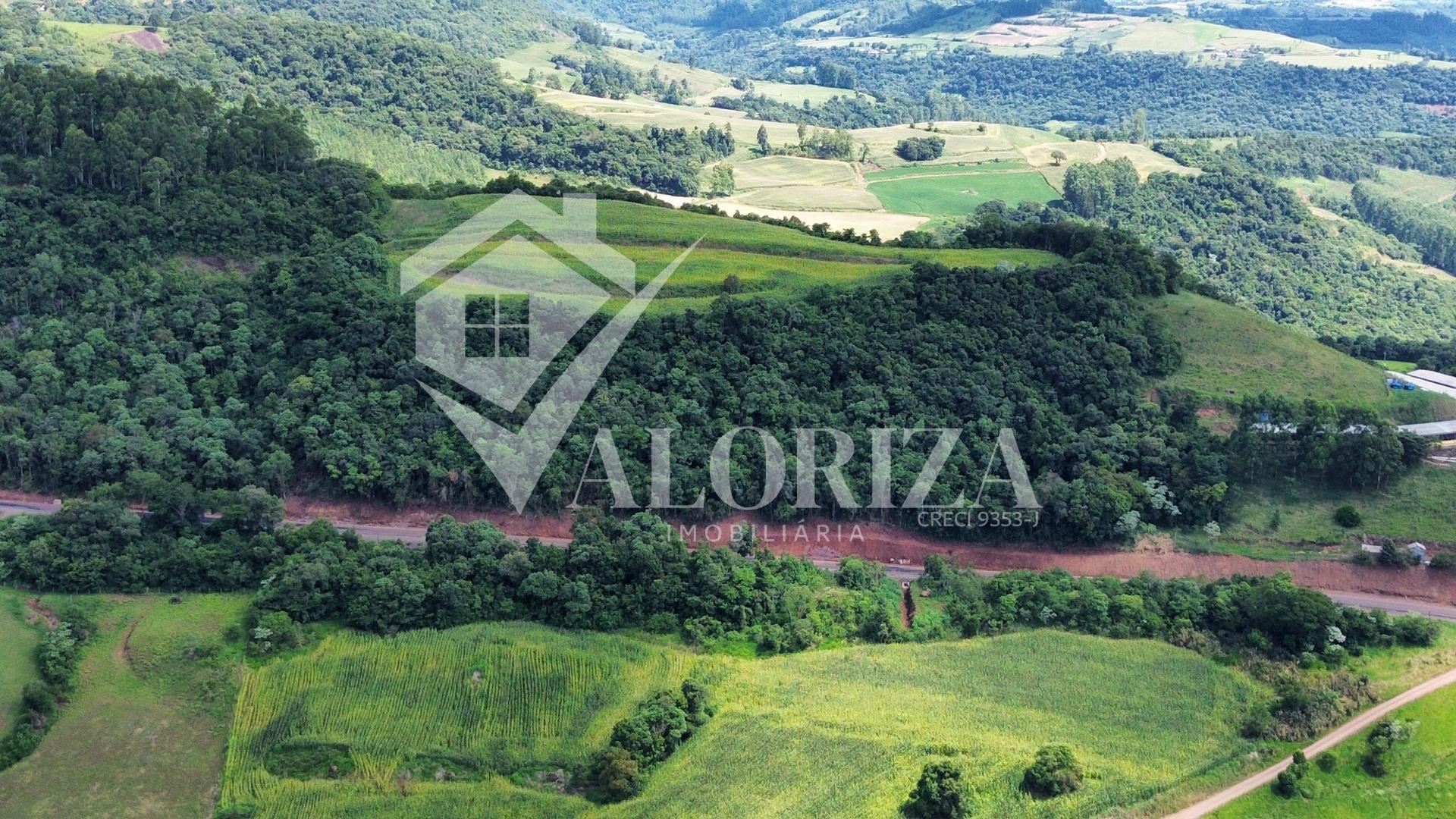 ?rea rural com aprox. 38 hec. em Linha S?o Luiz - Arvoredo SC