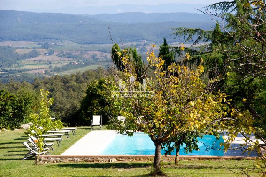 LINDO CASARÃO COM PARQUE, PISCINA E OLIVEIRAS.