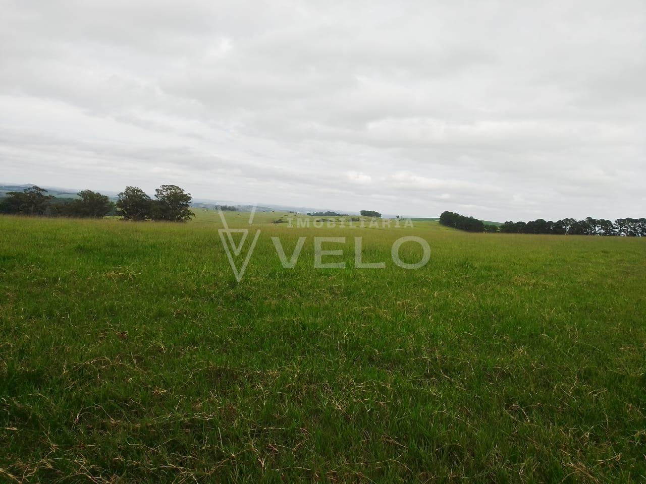 Fazenda à venda, Riversul, RIVERSUL - SP
