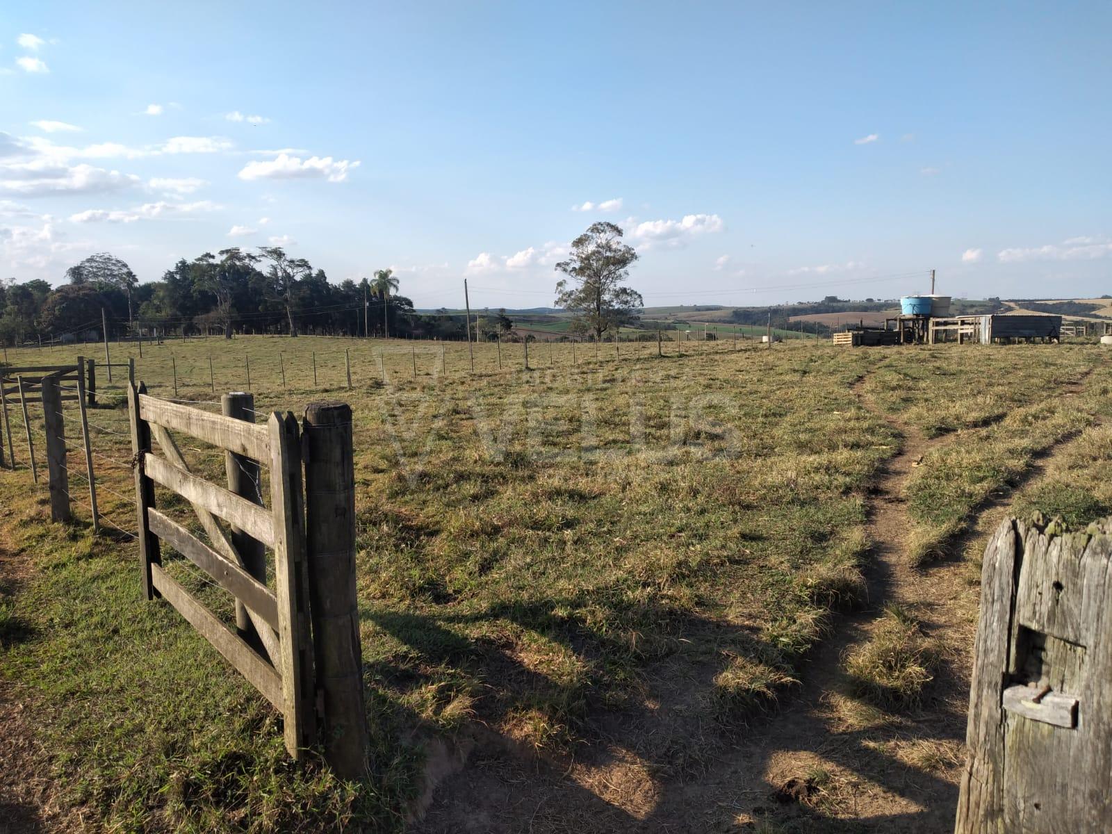 Sítio à venda, Santa Cruz dos Matos, ITAPETININGA - SP
