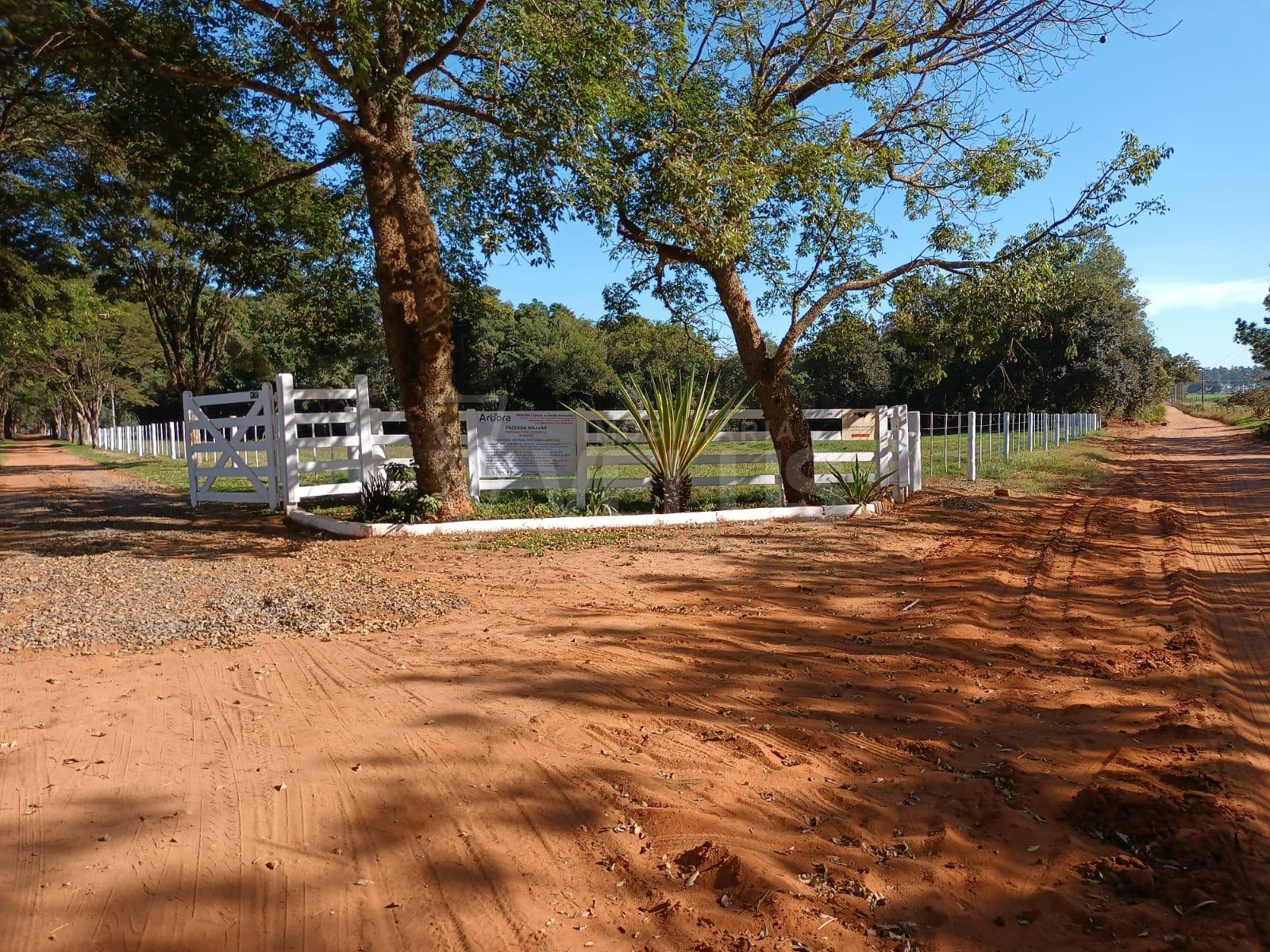 Fazenda à venda, em AVARÉ - SP 40 alqueires