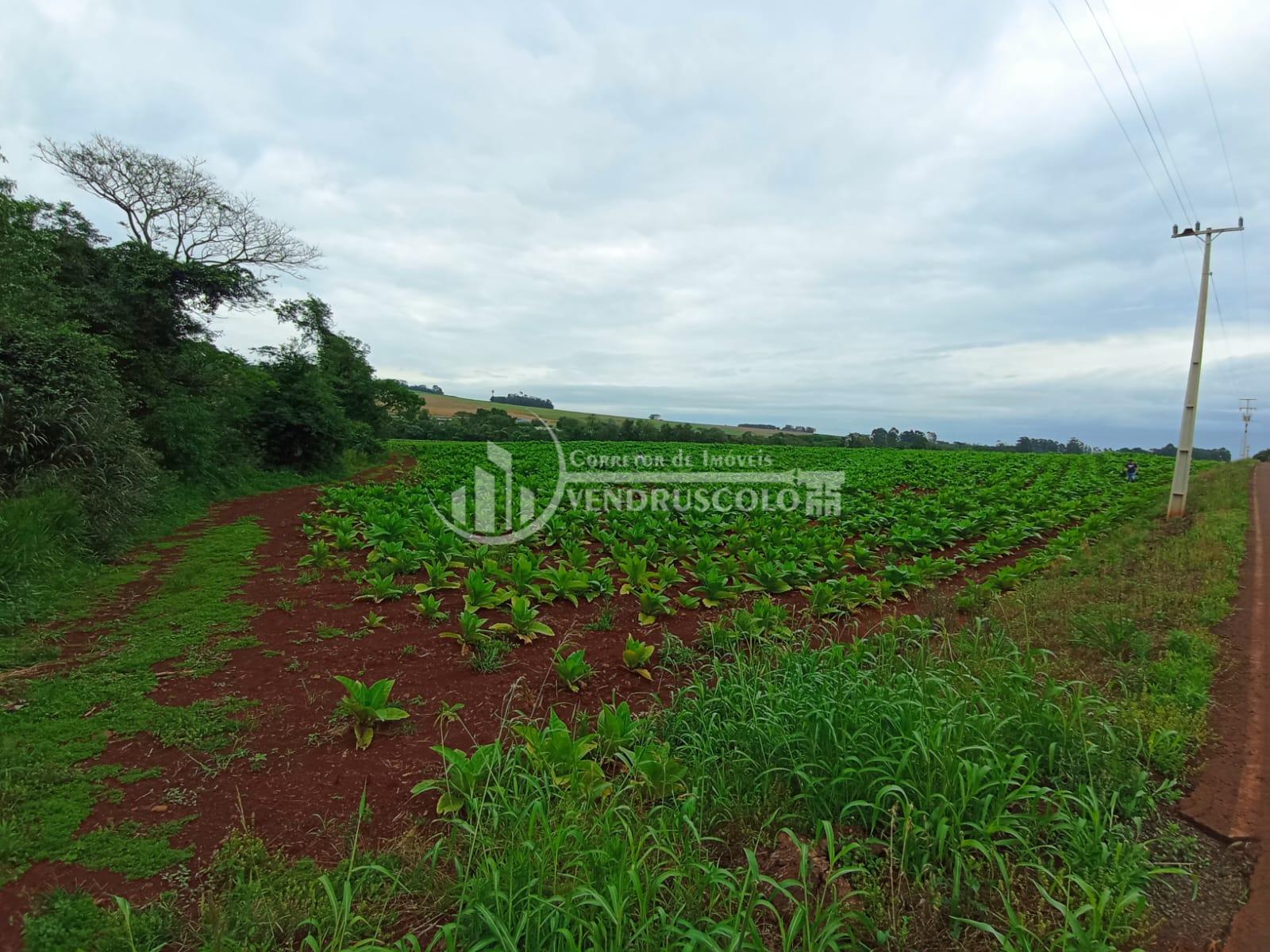 AREA RURAL à venda, COM 4,31 HECTARES  NA LINHA BURITTI, ITAIP...
