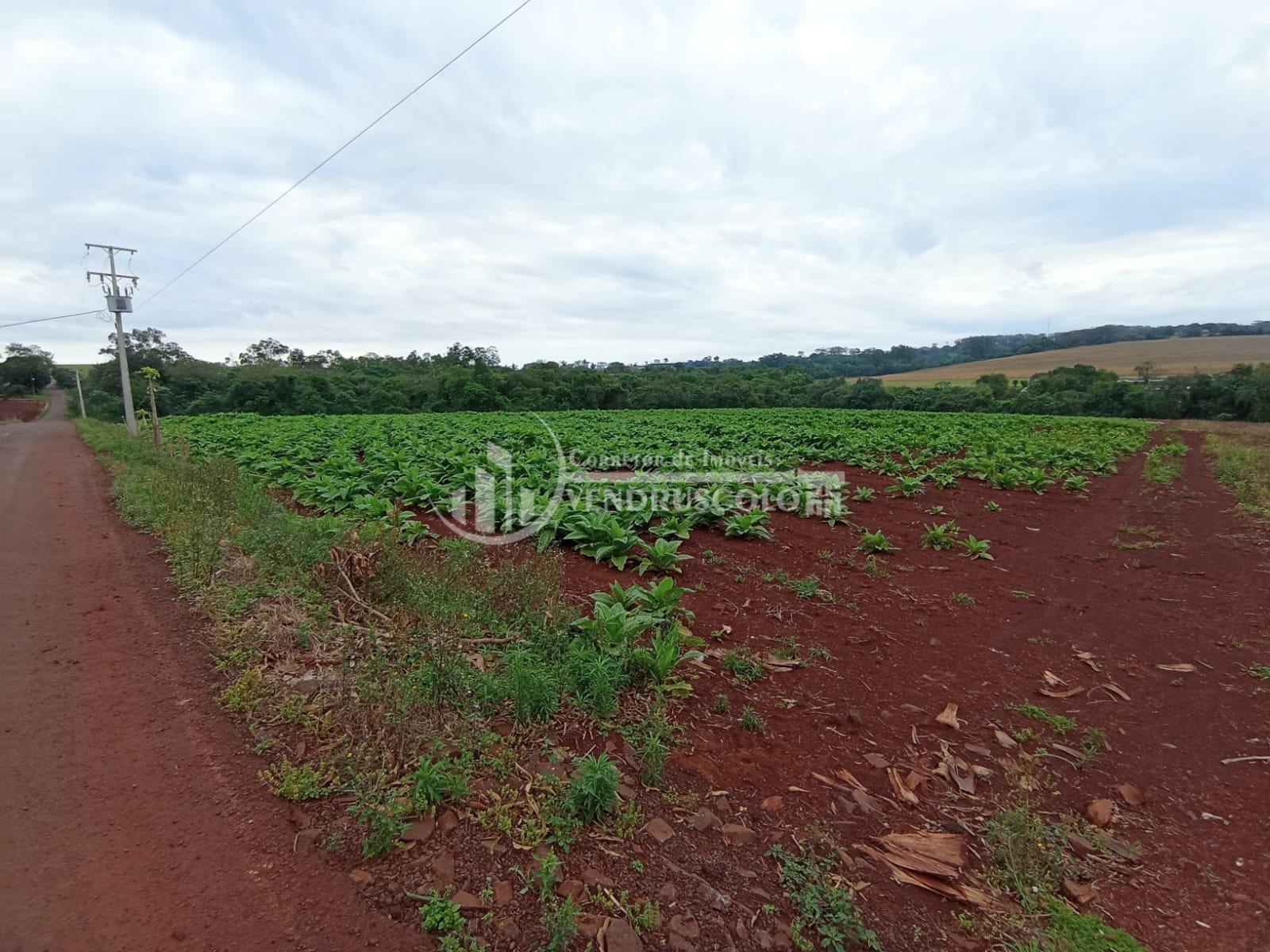 AREA RURAL à venda, COM 4,31 HECTARES  NA LINHA BURITTI, ITAIP...