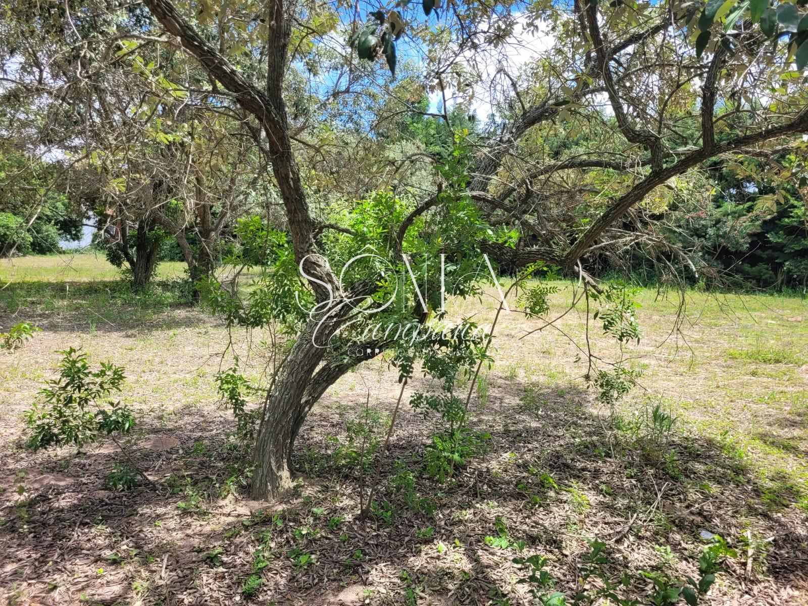 Terreno à venda, Parque Valinhos, VALINHOS - SP