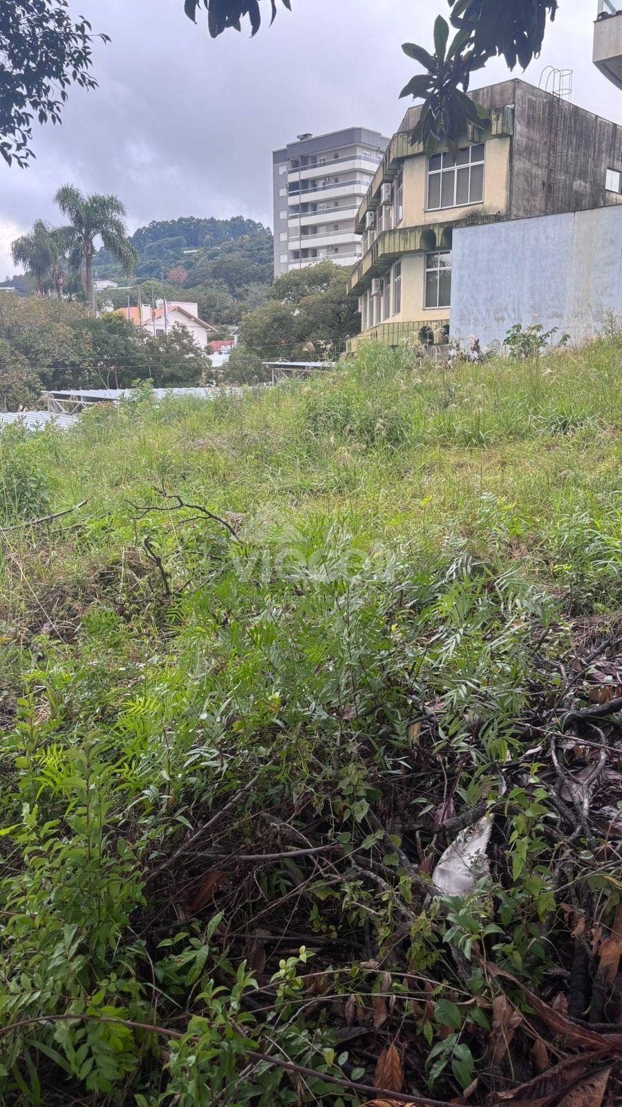 Terreno ? venda, Centro, NOVA ARACA - RS