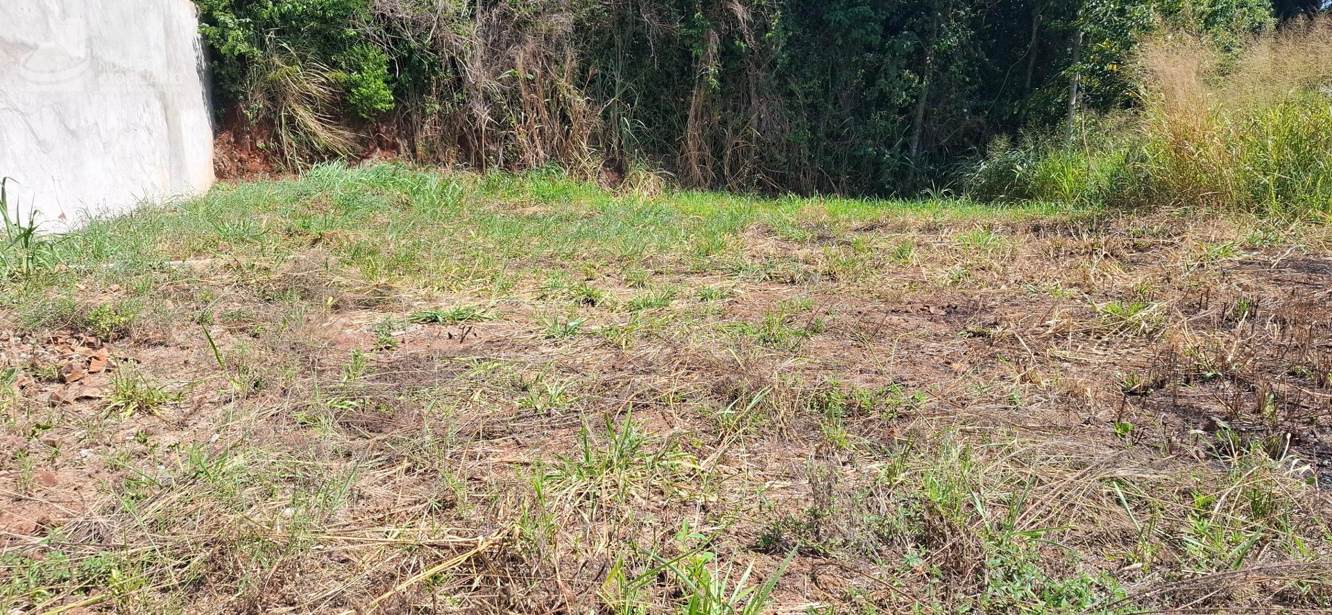 Vieira Imveis em Francisco Beltro PR