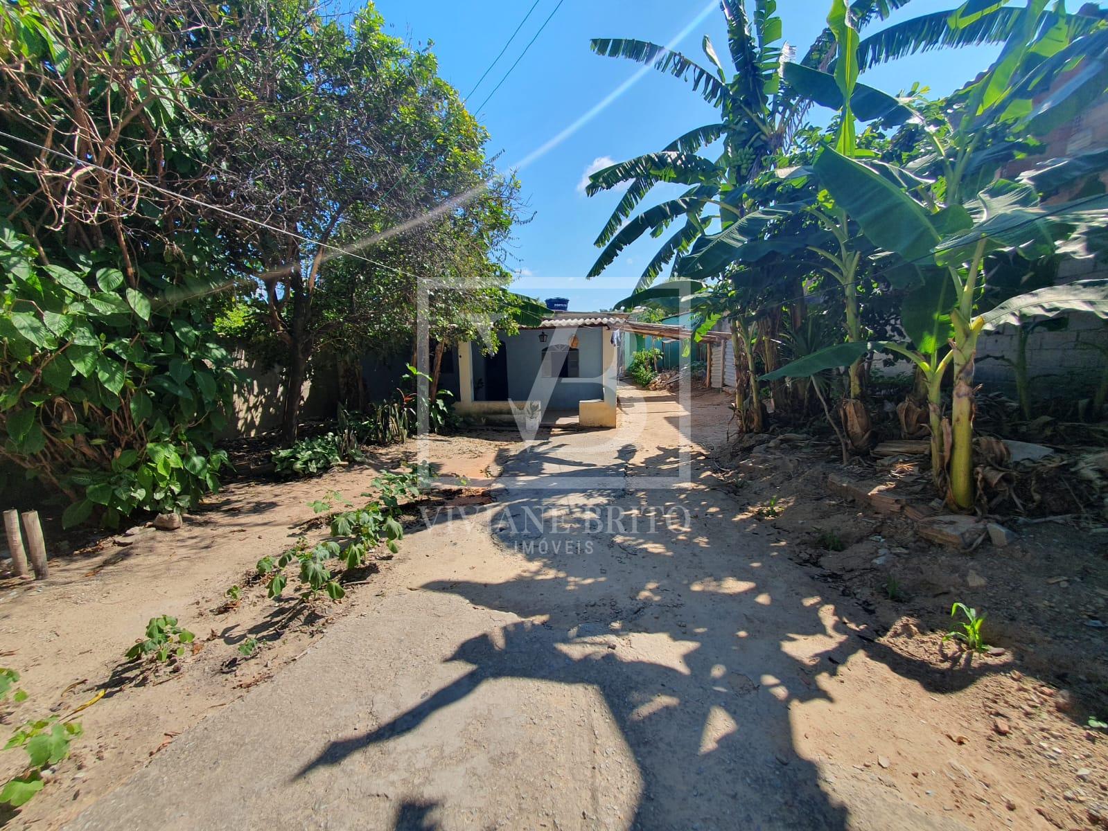 LOTE PLANO COM ARVORES FRUTÍFERA, BAIRRO CACHOEIRA, BETIM - MG