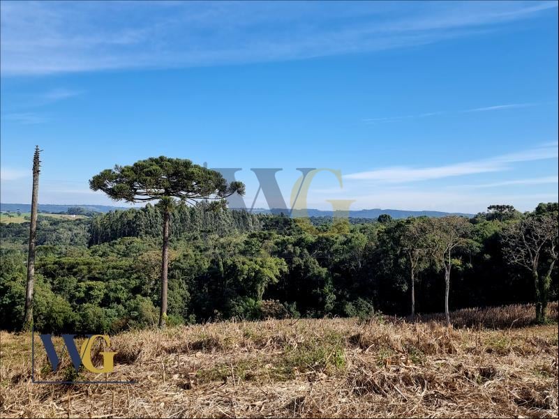 Chácara à Venda  Bairro Rodeio Santo Antônio, Balsa Nova PR