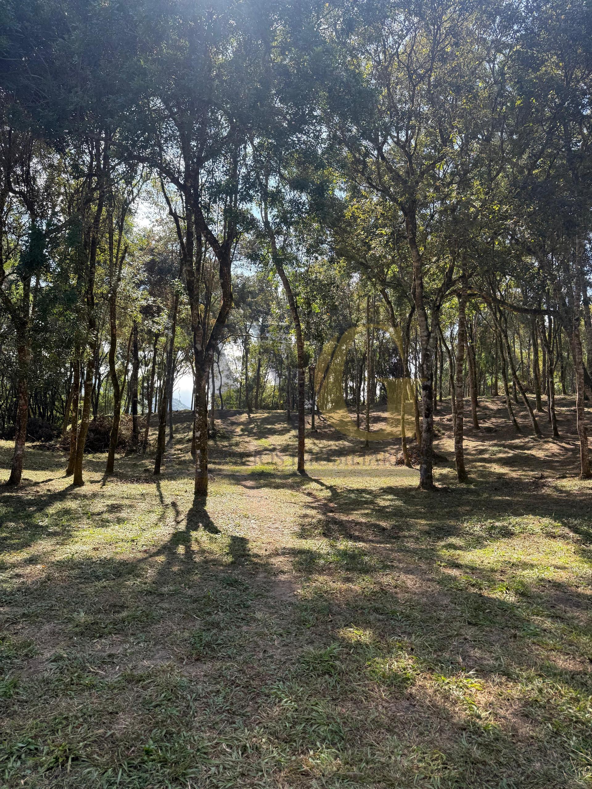Terreno à Venda  20.000 m  com Vista para as Montanhas