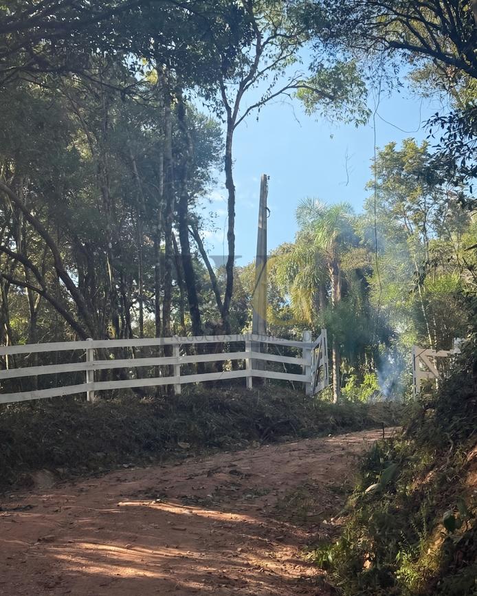 Chácara de 20.000m  à venda no Taquaral - Campo Largo PR