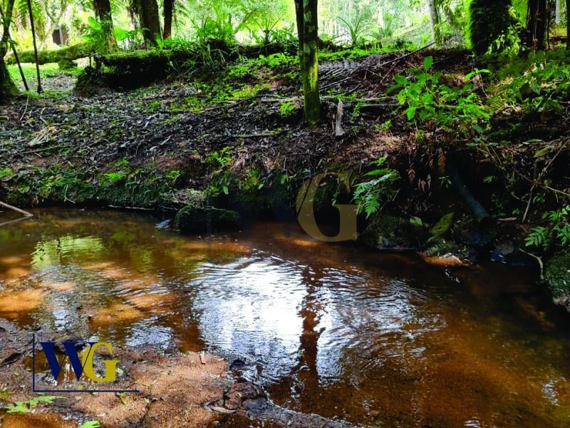 Chácara à Venda  Bairro Três Córregos, Campo Largo PR