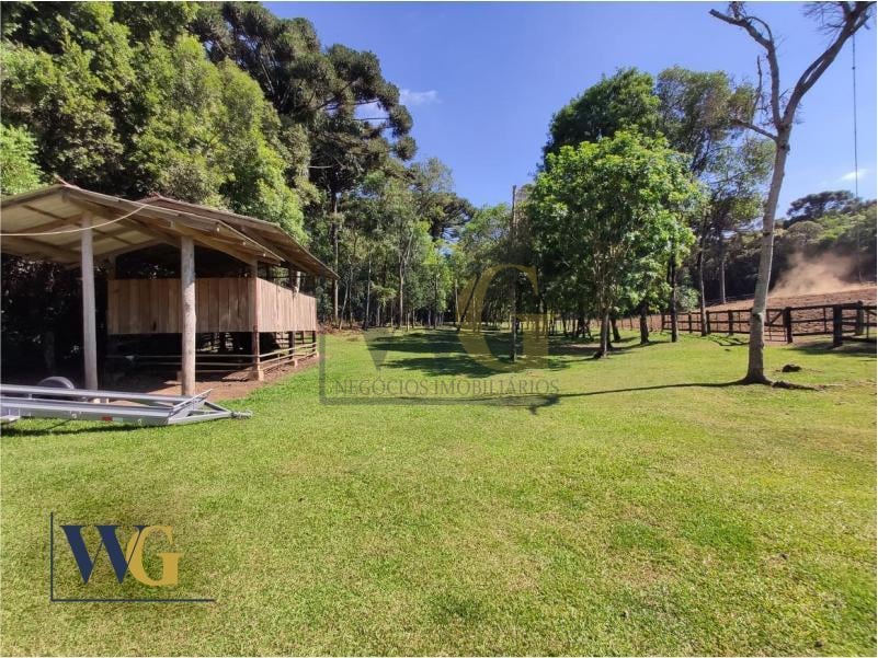 Chácara à Venda no Bairro Rodeio Chapada  Balsa Nova   PR