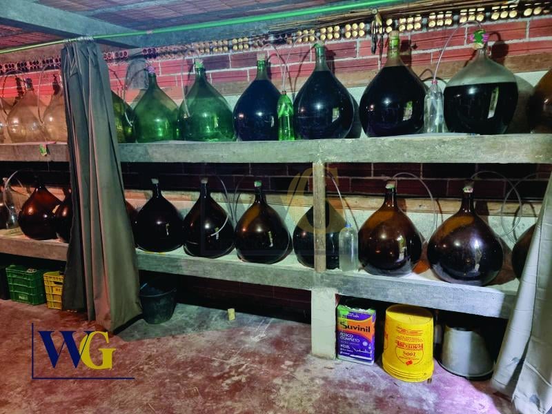 Chácara à Venda  Bairro Três Córregos, Campo Largo PR