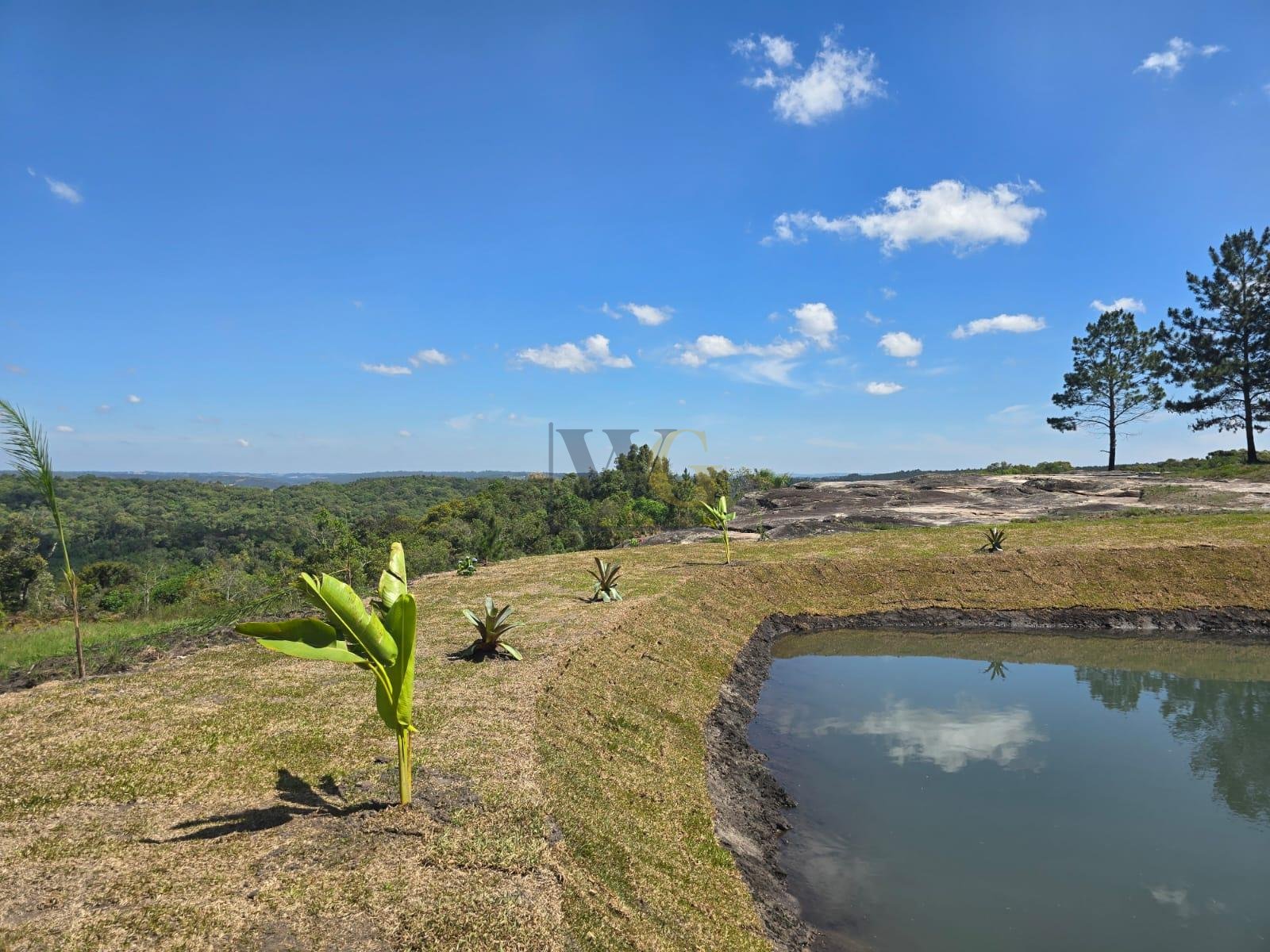 Chácara à Venda em São Luiz do Purunã  Balsa Nova PR Detalhes ...