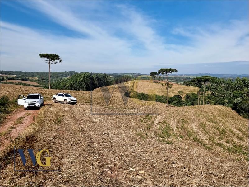 Chácara à Venda  Bairro Rodeio Santo Antônio, Balsa Nova PR