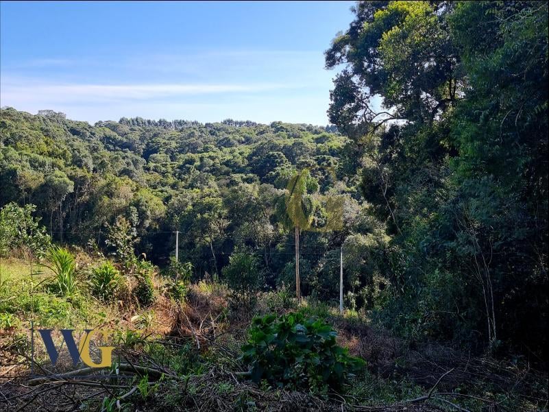 Chácara à Venda no Bairro Rodeio Santo Antônio  Campina   Bals...