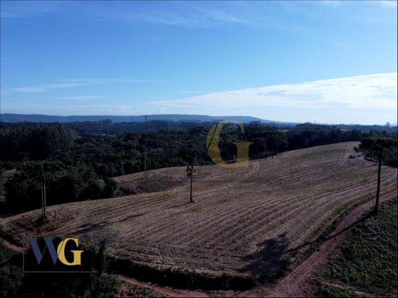 Chácara à Venda  Bairro Rodeio Santo Antônio, Balsa Nova PR