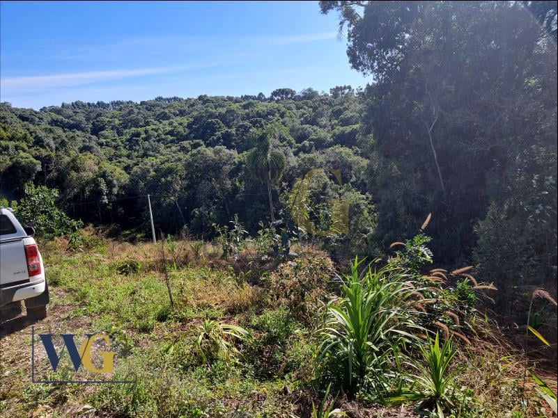 Ch?cara ? Venda  Bairro Rodeio Santo Ant?nio, Balsa Nova PR