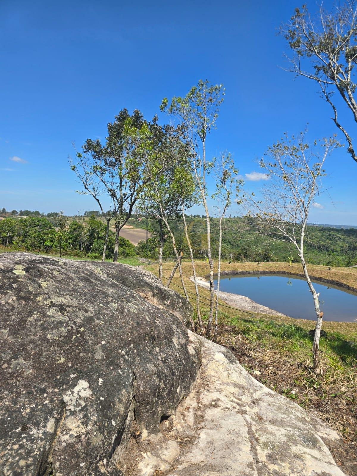 Chácara à Venda em São Luiz do Purunã  Balsa Nova PR Detalhes ...