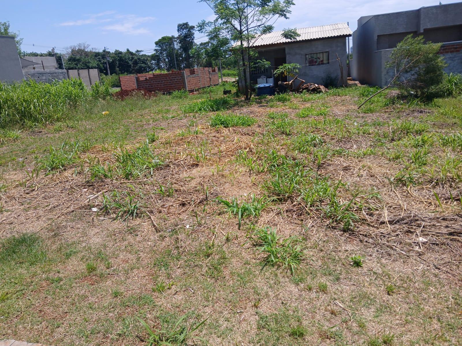 WJ Negcios Imobilirios em Foz do Iguau PR