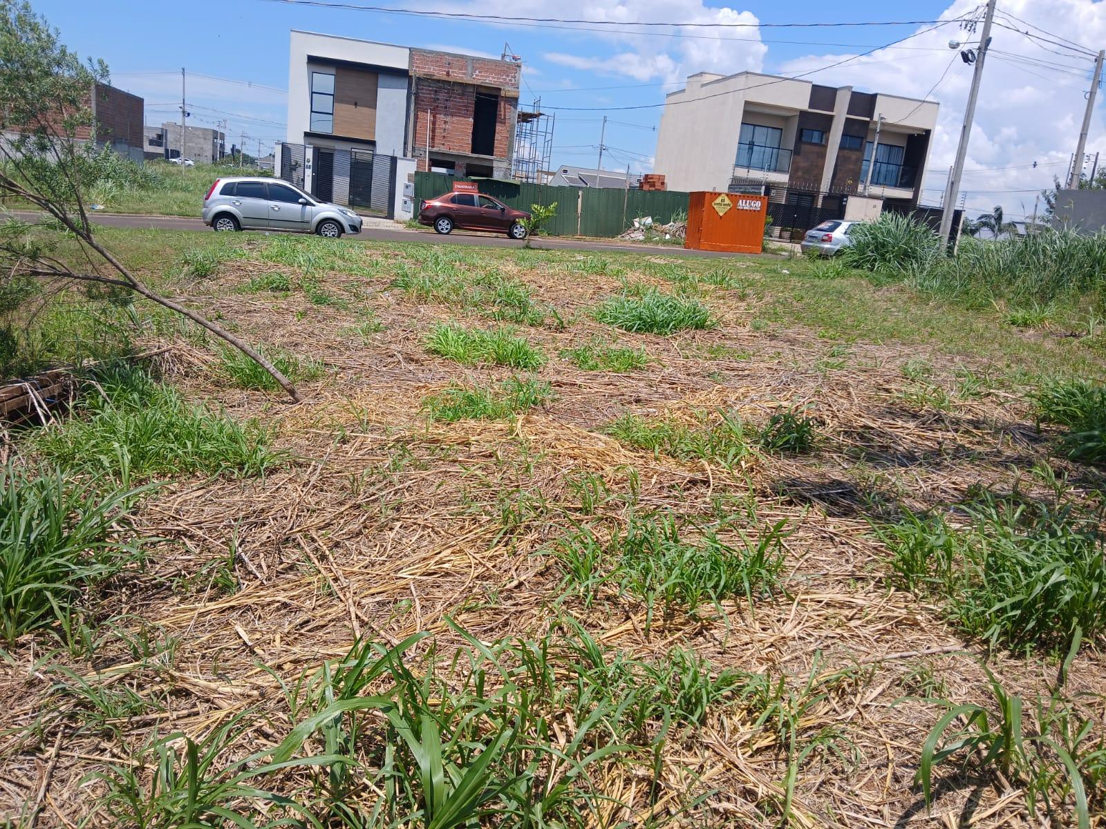 WJ Negcios Imobilirios em Foz do Iguau PR