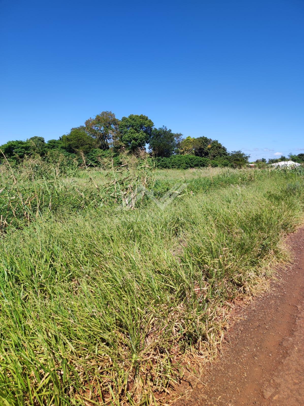 Ch?cara ? venda, Alto da Boa Vista, FOZ DO IGUACU - PR