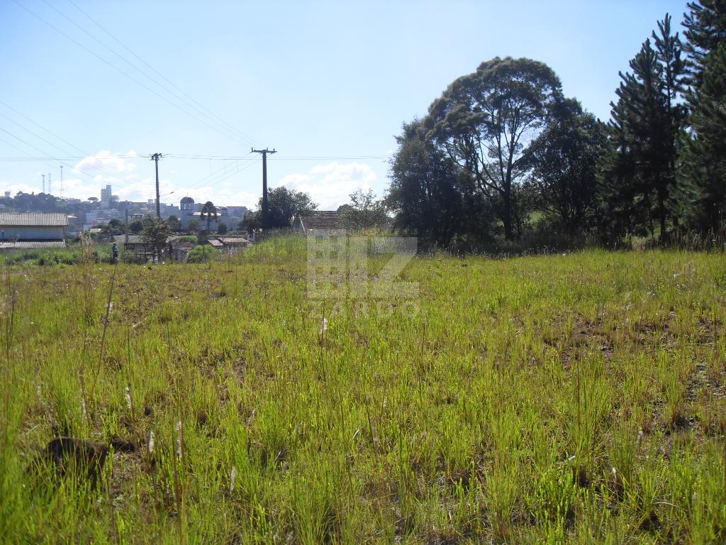 TERRENO BAIRRO BERGER