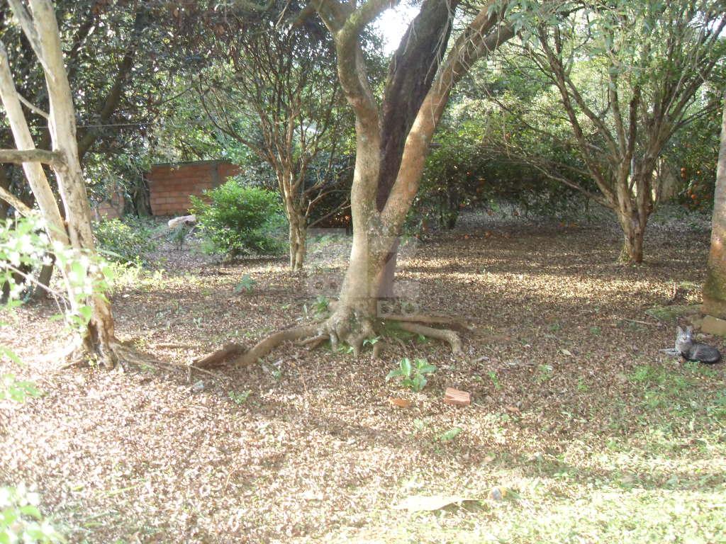 Lote à venda, BELLO, CACADOR - SC