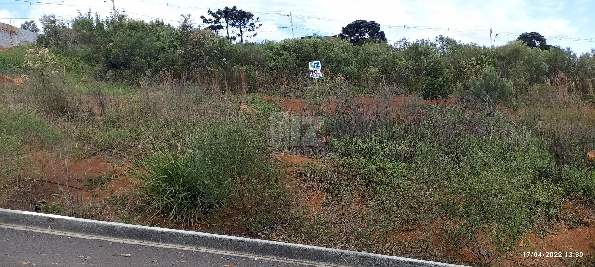 Lote à venda, BERGER, CACADOR - SC