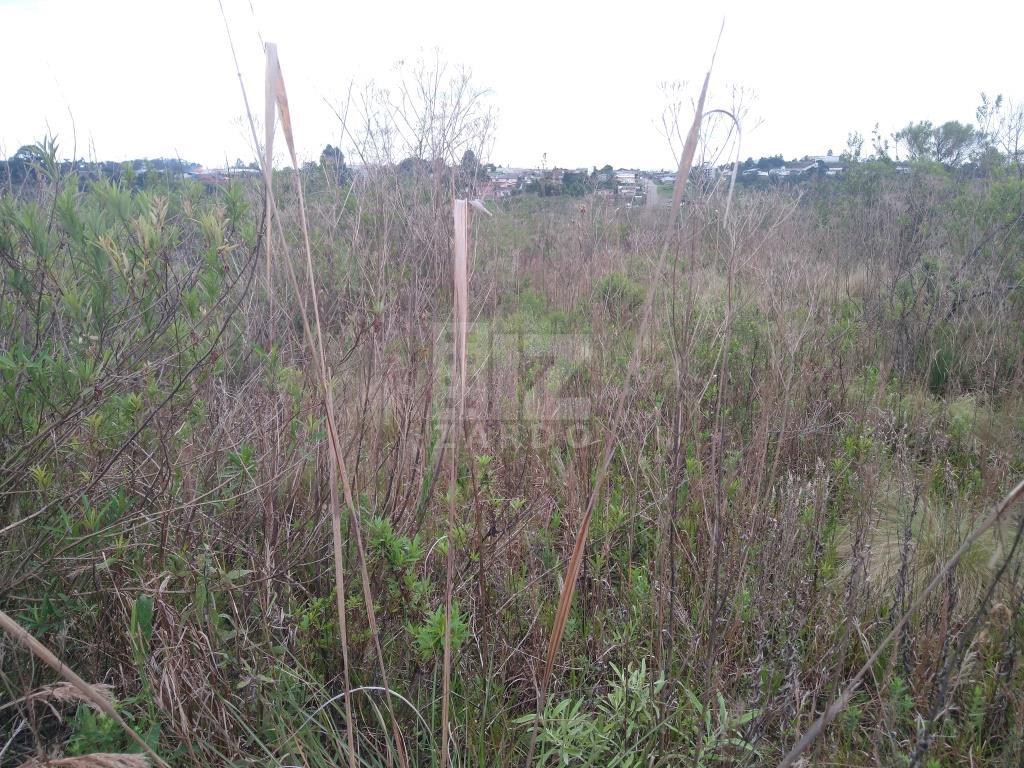 Lote à venda, MARTELLO, CACADOR - SC