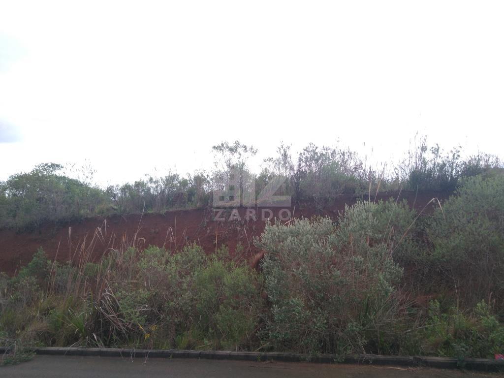 Lote à venda, MARTELLO, CACADOR - SC
