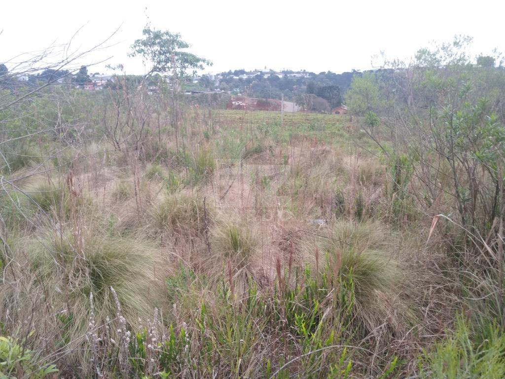 Lote à venda, MARTELLO, CACADOR - SC