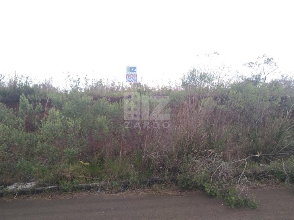 Lote à venda, MARTELLO, CACADOR - SC