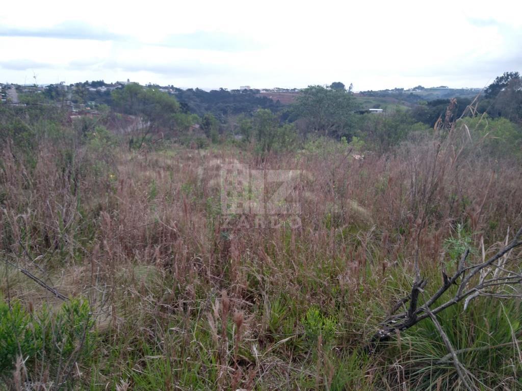 Lote à venda, MARTELLO, CACADOR - SC