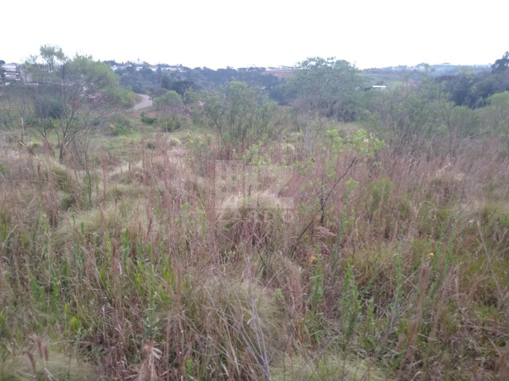 Lote à venda, MARTELLO, CACADOR - SC