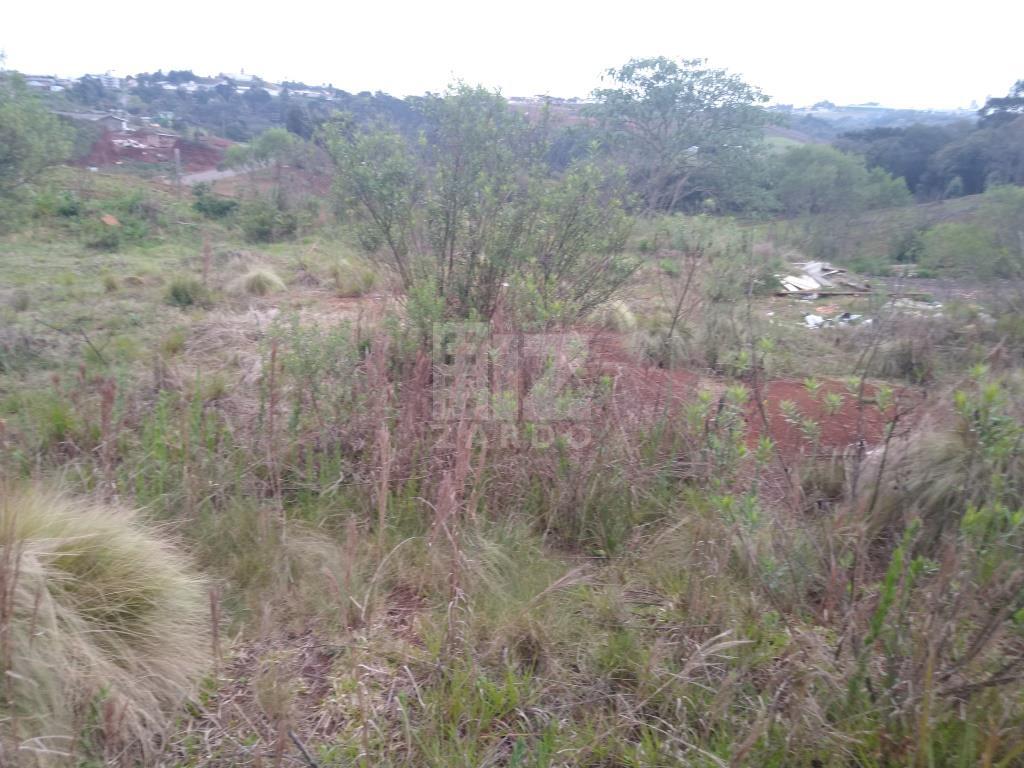 Lote à venda, MARTELLO, CACADOR - SC